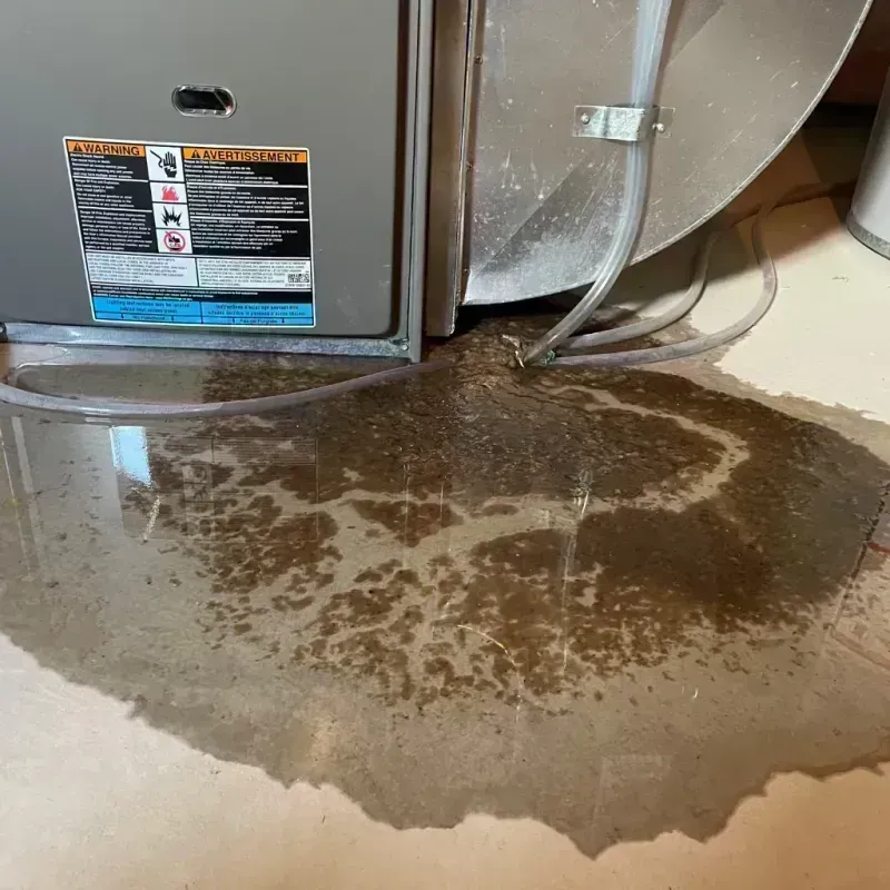 Appliance Leak Cleanup in Hillsdale, MO